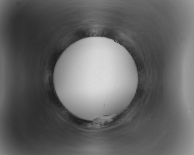 X0000088680225200706281949