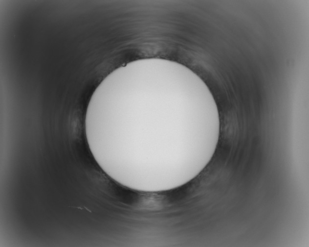 X0000088680226200706281949