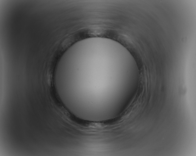 X0000088680227200706281949