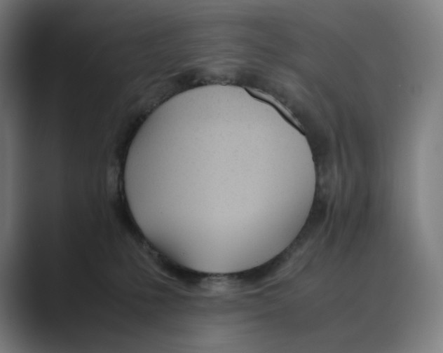 X0000088680231200706281949