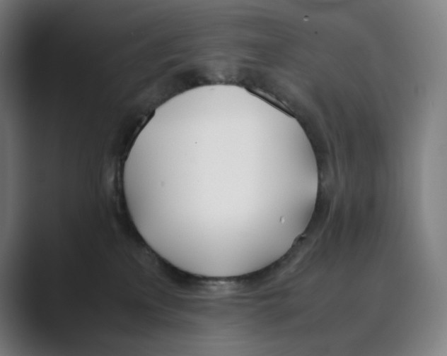 X0000088680233200706281949