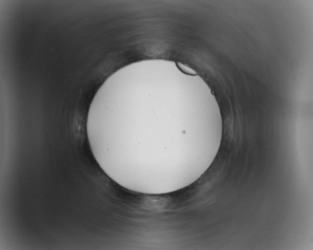 X0000088680234200706281948