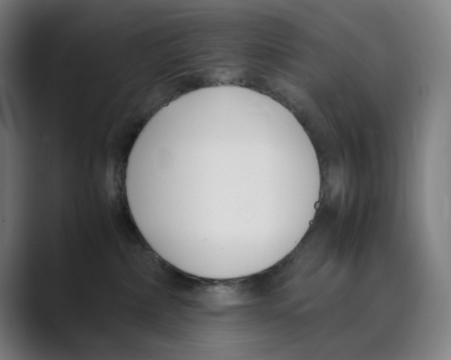 X0000088680236200706281948