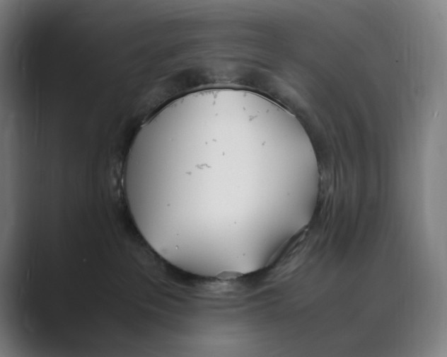 X0000088680237200706281948