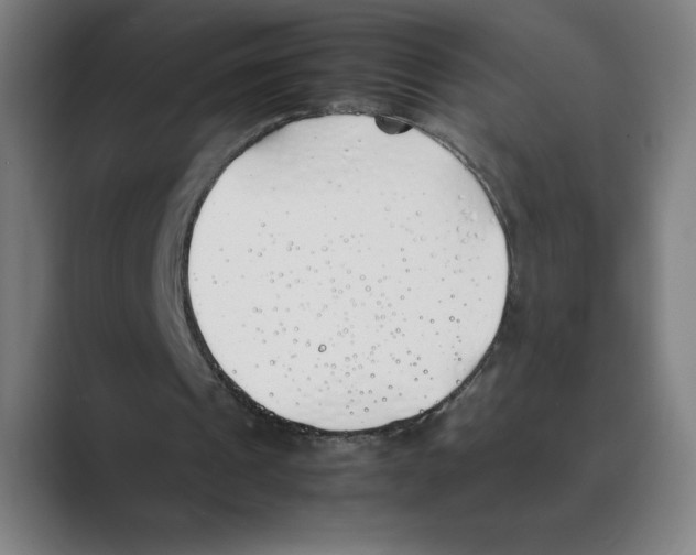 X0000088680241200706281948