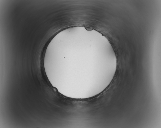 X0000088680242200706281948