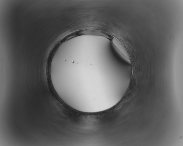 X0000088680244200706281948