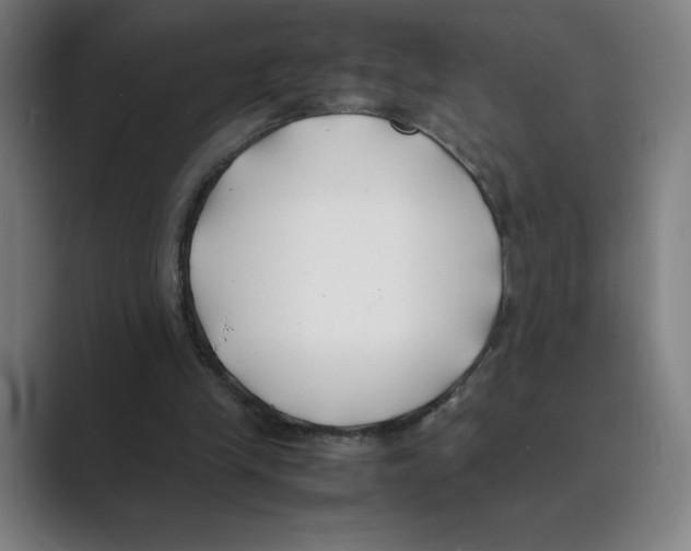 X0000088680245200706281948