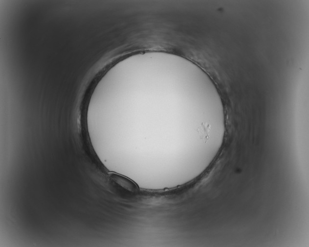 X0000088680246200706281948