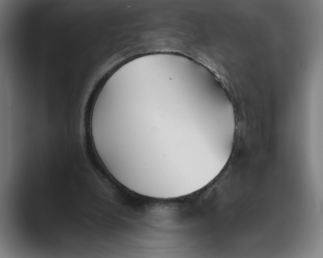 X0000088680248200706281948