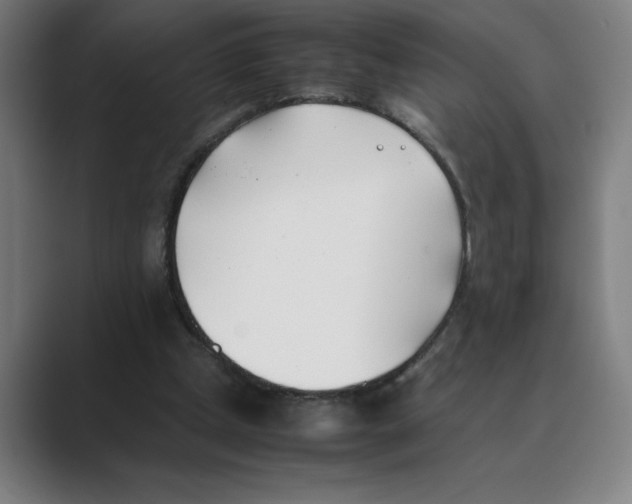 X0000088680249200706281948