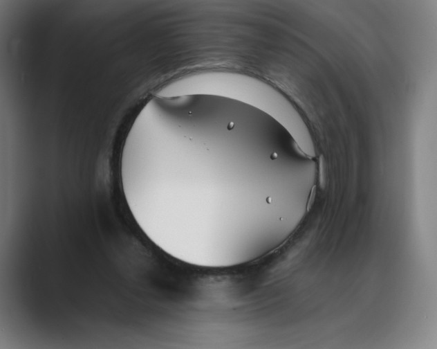 X0000088680252200706281948