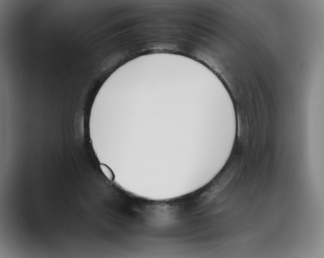 X0000088680253200706281948