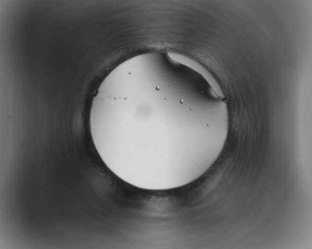 X0000088680256200706281948