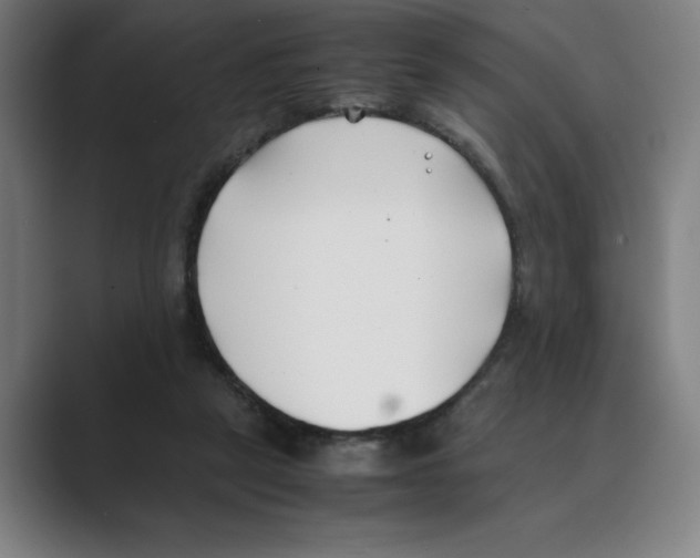 X0000088680257200706281948