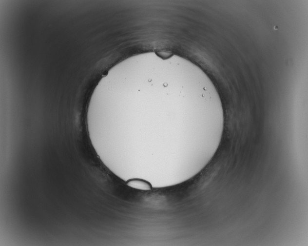 X0000088680258200706281948