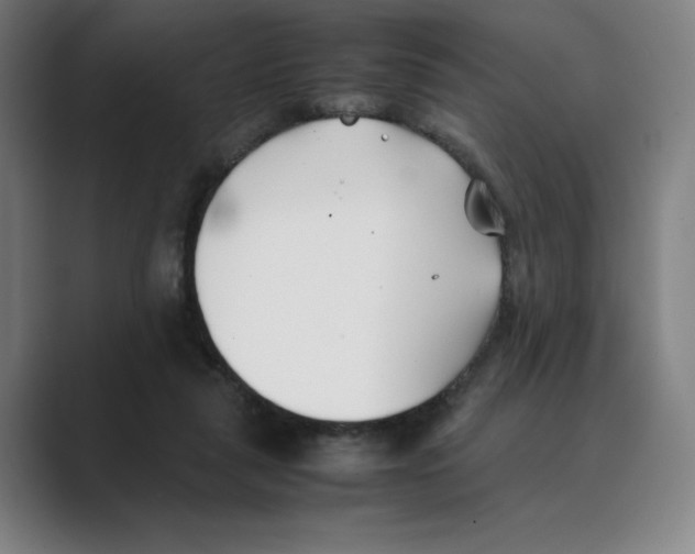 X0000088680259200706281948