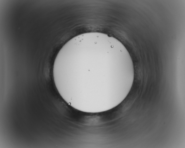 X0000088680266200706281948