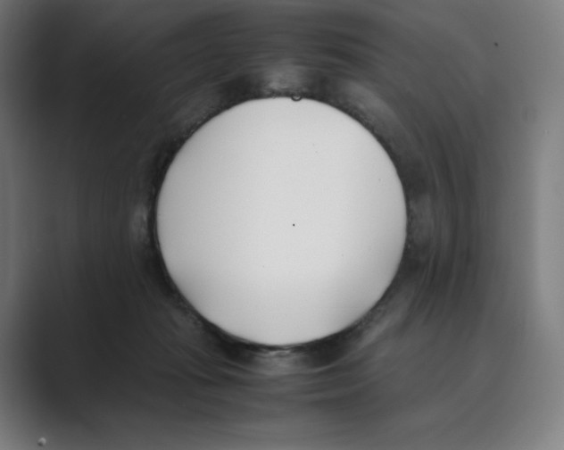 X0000088680269200706281948