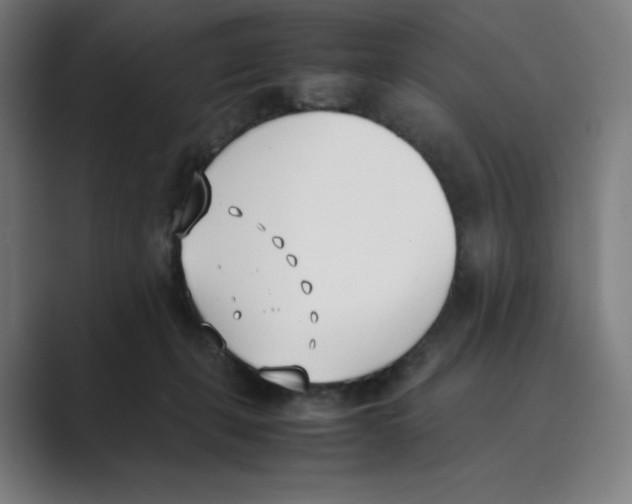 X0000088680271200706281948