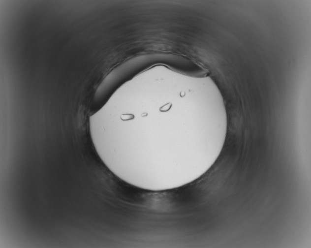 X0000088680273200706281948