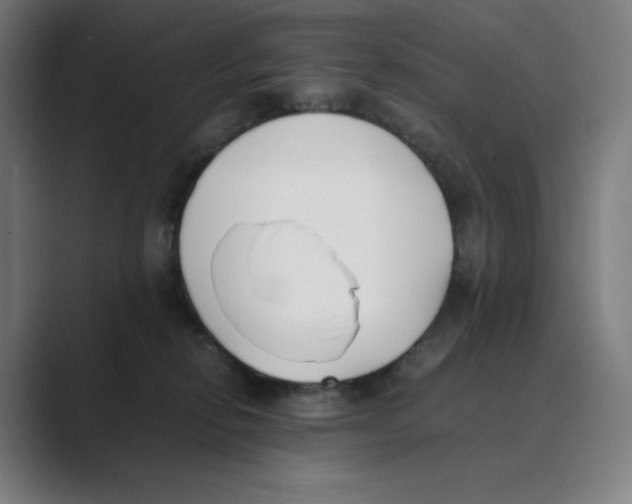 X0000088680278200706281948