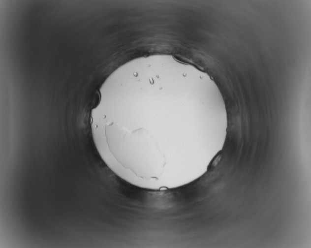 X0000088680281200706281948