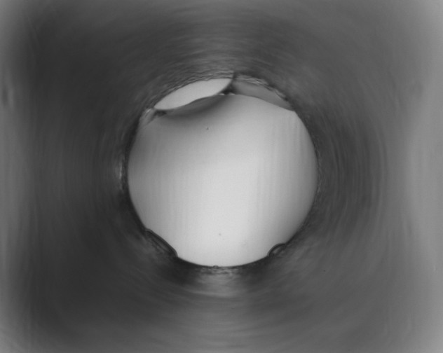 X0000088680288200706281948