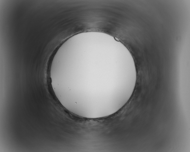 X0000088680290200706281948