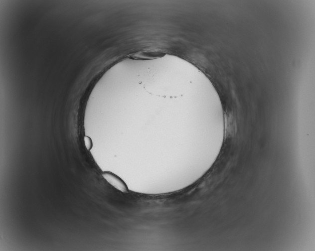 X0000088680291200706281948