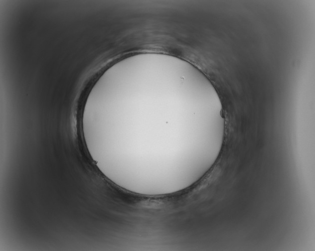 X0000088680294200706281948