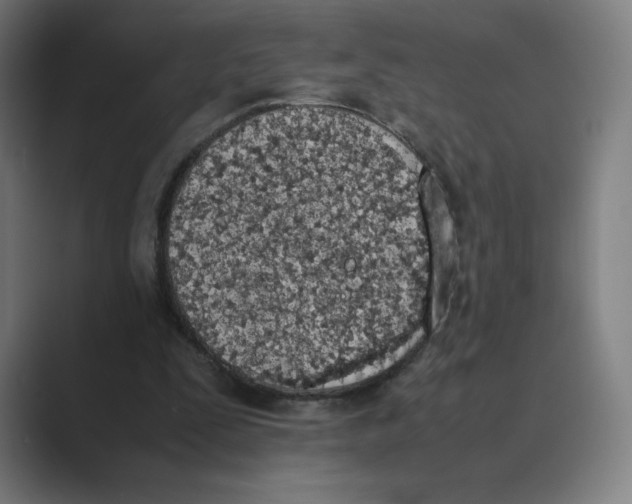 X0000088680295200706281948