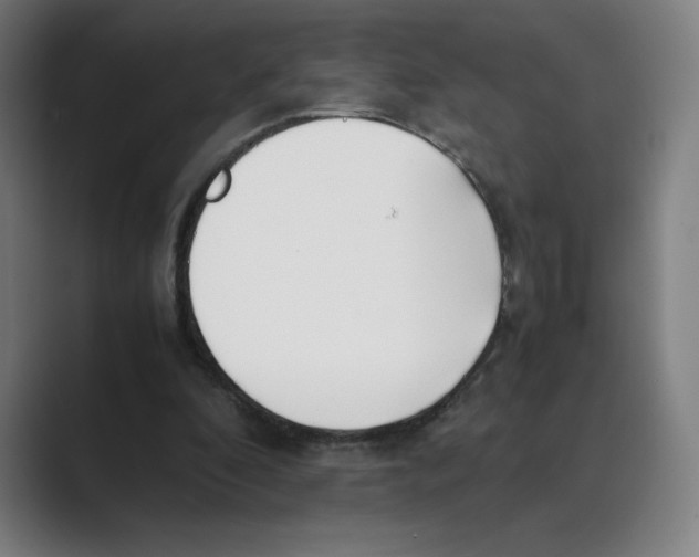 X0000088680296200706281948