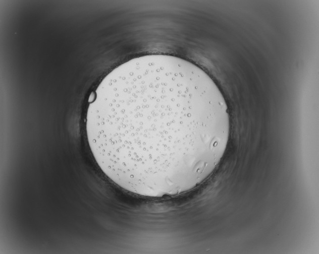 X0000088680299200706281948