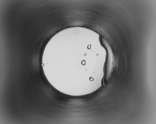 X0000088680300200706281948