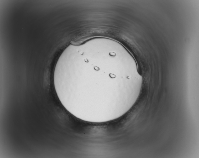 X0000088680303200706281948