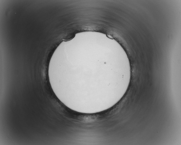 X0000088680305200706281948