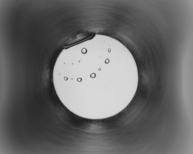 X0000088680308200706281948