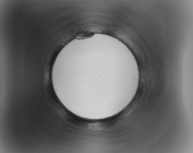 X0000088680309200706281948