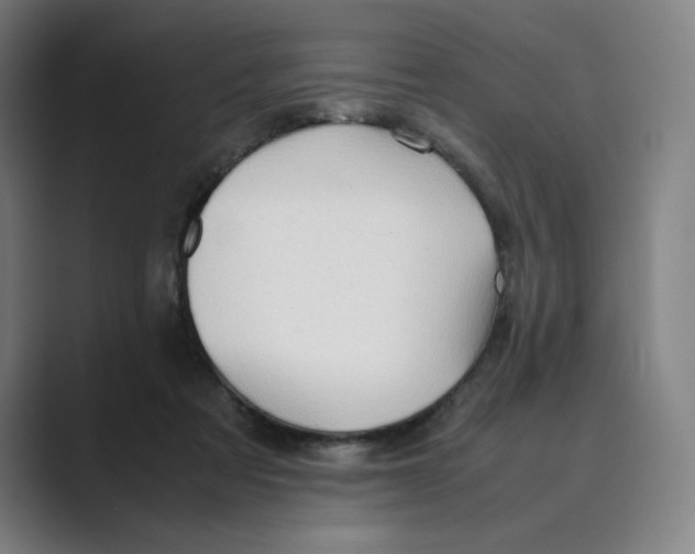 X0000088680313200706281947