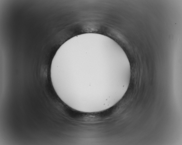 X0000088680315200706281947