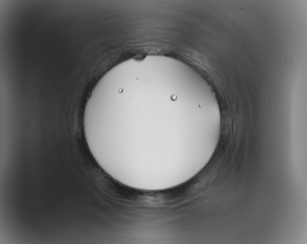 X0000088680317200706281947