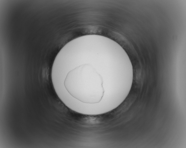 X0000088680326200706281947