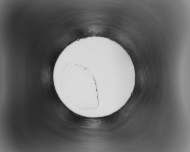 X0000088680328200706281947