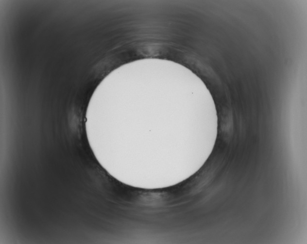 X0000088680332200706281947