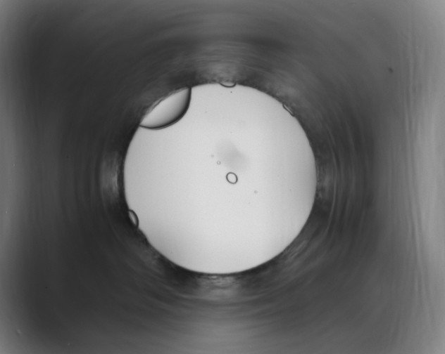 X0000088680334200706281947