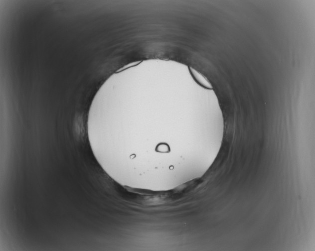 X0000088680335200706281947