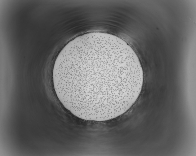 X0000088680337200706281947