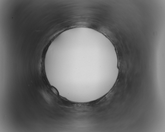 X0000088680338200706281947