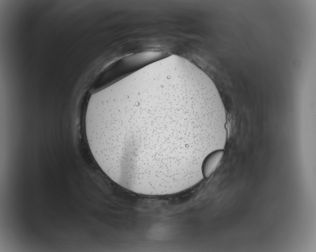 X0000088680339200706281947